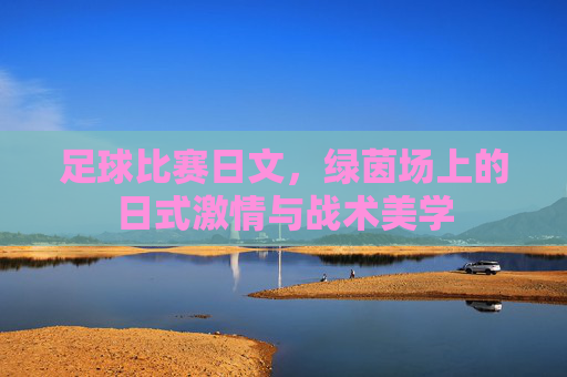 足球比赛日文,绿茵场上的日式激情与战术美学