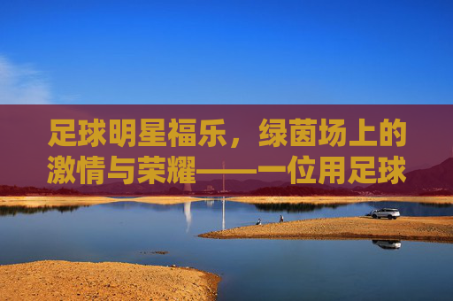 足球明星福乐，绿茵场上的激情与荣耀——一位用足球书写传奇的巨星