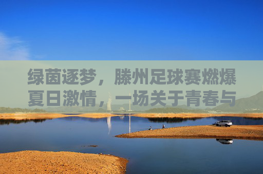 绿茵逐梦,滕州足球赛燃爆夏日激情,一场关于青春与热血的盛宴,绿茵逐梦,滕州足球赛燃爆夏日激情,一场青春与热血的盛宴