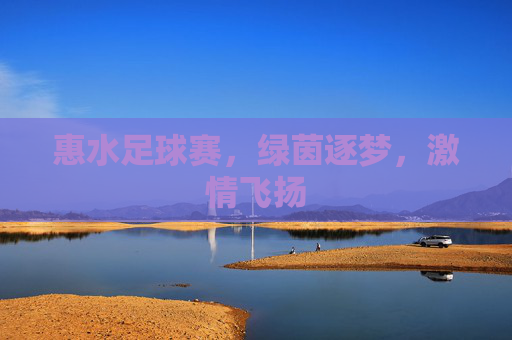 惠水足球赛,绿茵逐梦,激情飞扬