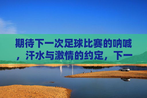 期待下一次足球比赛的呐喊,汗水与激情的约定,下一次足球的呐喊,汗水与激情的约定