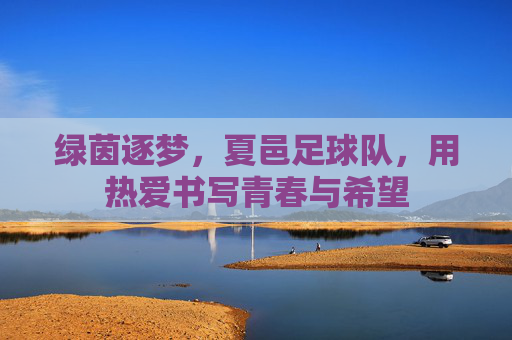 绿茵逐梦，夏邑足球队，用热爱书写青春与希望