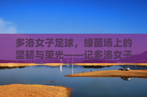 多洛女子足球,绿茵场上的坚韧与荣光——记多洛女子足球队的成长之路