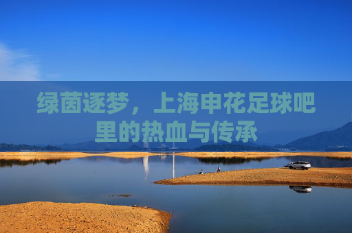 绿茵逐梦，上海申花足球吧里的热血与传承