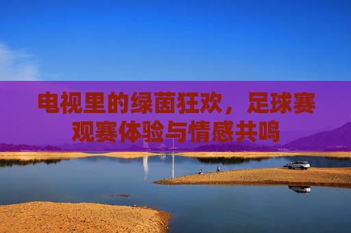 电视里的绿茵狂欢，足球赛观赛体验与情感共鸣