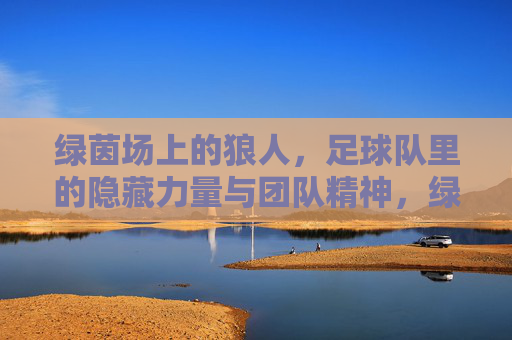 绿茵场上的狼人,足球队里的隐藏力量与团队精神,绿茵场上的狼人,足球队里的隐藏力量与团队精神