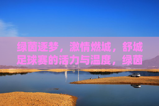 绿茵逐梦,激情燃城,舒城足球赛的活力与温度,绿茵逐梦,激情燃城,舒城足球赛的活力与温度
