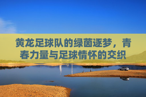 黄龙足球队的绿茵逐梦，青春力量与足球情怀的交织