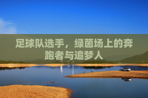 足球队选手,绿茵场上的奔跑者与追梦人