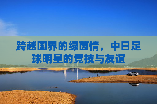 跨越国界的绿茵情，中日足球明星的竞技与友谊