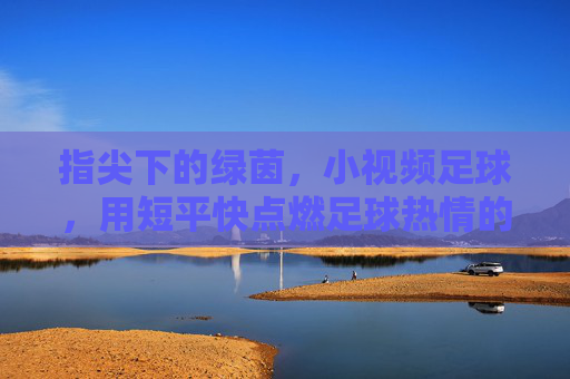 指尖下的绿茵，小视频足球，用短平快点燃足球热情的新火花