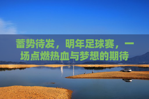 蓄势待发,明年足球赛,一场点燃热血与梦想的期待