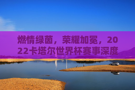 燃情绿茵,荣耀加冕,2022卡塔尔世界杯赛事深度解析