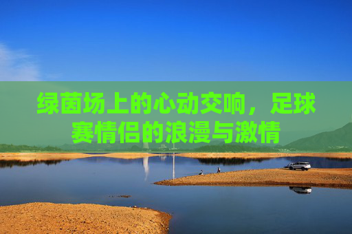 绿茵场上的心动交响,足球赛情侣的浪漫与激情