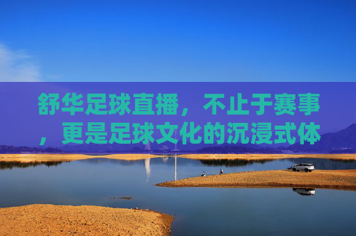舒华足球直播,不止于赛事,更是足球文化的沉浸式体验