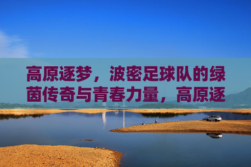 高原逐梦，波密足球队的绿茵传奇与青春力量，高原逐梦，波密足球队的绿茵传奇与青春力量