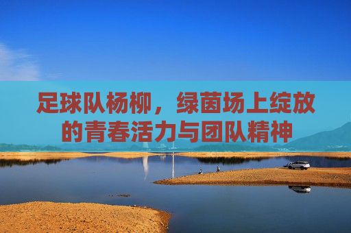 足球队杨柳，绿茵场上绽放的青春活力与团队精神