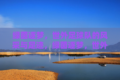绿茵逐梦，世外足球队的风采与足迹，绿茵逐梦，世外足球队的风采与足迹