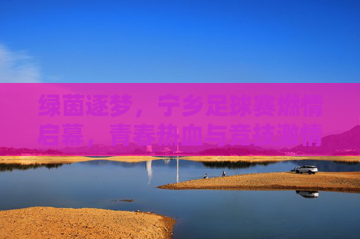 绿茵逐梦,宁乡足球赛燃情启幕,青春热血与竞技激情的碰撞