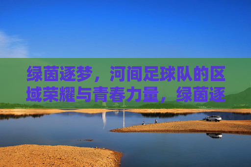 绿茵逐梦,河间足球队的区域荣耀与青春力量,绿茵逐梦,河间足球队的区域荣耀与青春力量