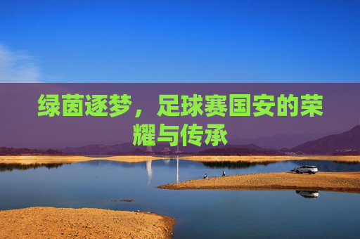 绿茵逐梦,足球赛国安的荣耀与传承
