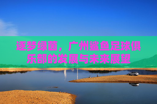 逐梦绿茵，广州鲨鱼足球俱乐部的发展与未来展望