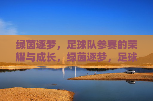 绿茵逐梦,足球队参赛的荣耀与成长,绿茵逐梦,足球队参赛的荣耀与成长