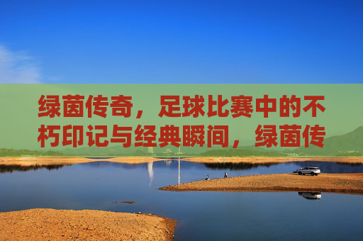 绿茵传奇，足球比赛中的不朽印记与经典瞬间，绿茵传奇，足球比赛中的不朽印记与经典瞬间