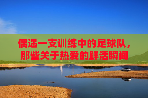 偶遇一支训练中的足球队,那些关于热爱的鲜活瞬间