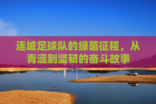 连城足球队的绿茵征程，从青涩到坚韧的奋斗故事