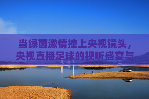 当绿茵激情撞上央视镜头,央视直播足球的视听盛宴与时代共鸣