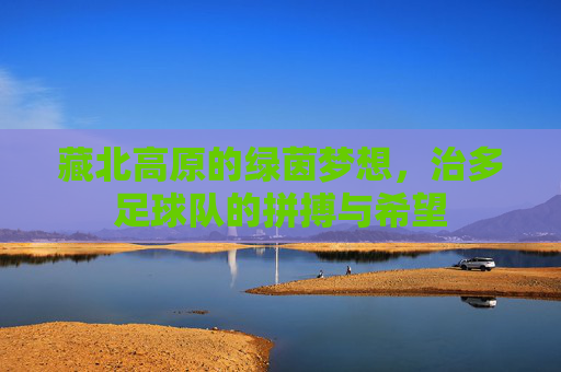 藏北高原的绿茵梦想，治多足球队的拼搏与希望