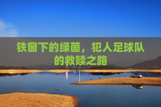 铁窗下的绿茵,犯人足球队的救赎之路