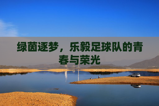 绿茵逐梦,乐毅足球队的青春与荣光