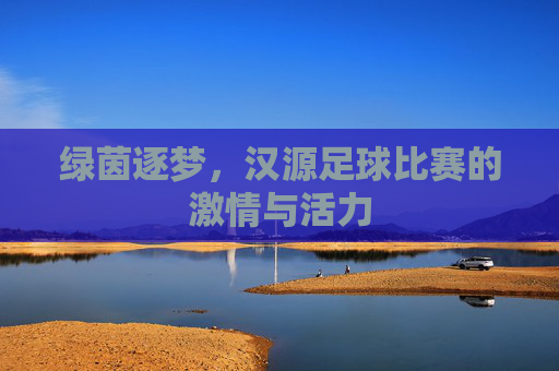 绿茵逐梦,汉源足球比赛的激情与活力