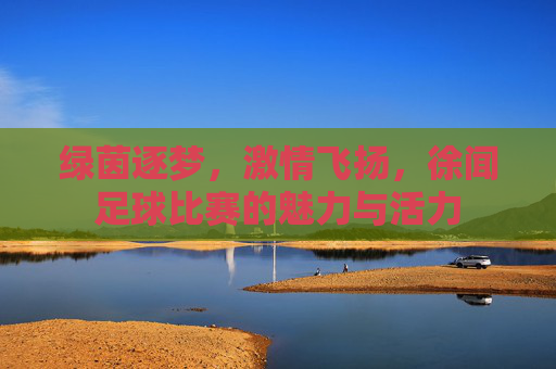 绿茵逐梦,激情飞扬,徐闻足球比赛的魅力与活力