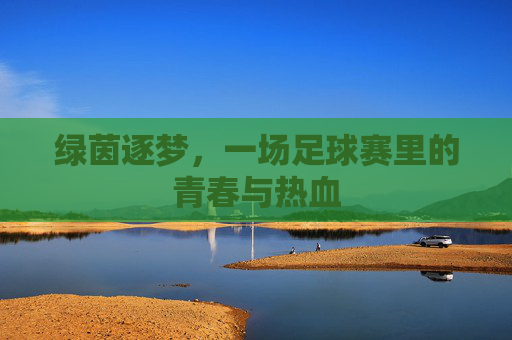 绿茵逐梦，一场足球赛里的青春与热血