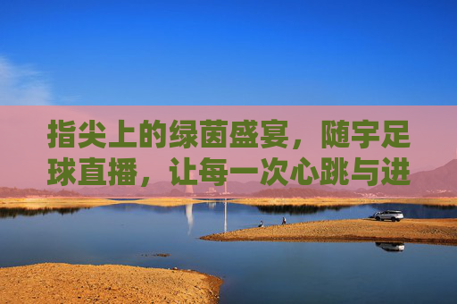 指尖上的绿茵盛宴，随宇足球直播，让每一次心跳与进球都清晰可感，指尖上的绿茵盛宴，随宇足球直播，让每一次心跳与进球都清晰可感