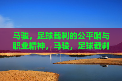 马骏,足球裁判的公平哨与职业精神,马骏,足球裁判的公平哨与职业精神