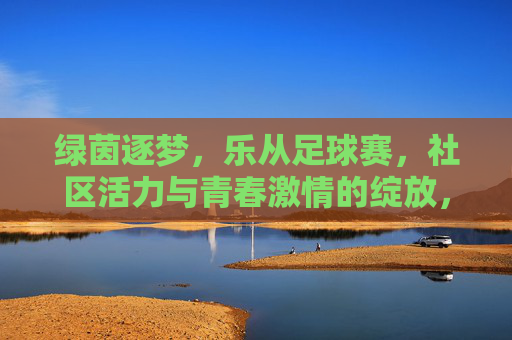 绿茵逐梦，乐从足球赛，社区活力与青春激情的绽放，绿茵逐梦，乐从足球赛，社区活力与青春激情的绽放