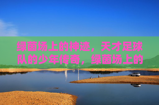 绿茵场上的神迹,天才足球队的少年传奇,绿茵场上的神迹,天才足球队的少年传奇
