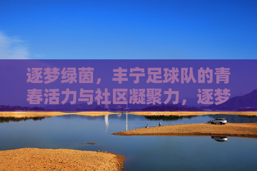 逐梦绿茵,丰宁足球队的青春活力与社区凝聚力,逐梦绿茵,丰宁足球队的青春活力与社区凝聚力