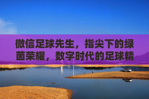 微信足球先生，指尖下的绿茵荣耀，数字时代的足球精神传承，微信足球先生，指尖下的绿茵荣耀，数字时代的足球精神传承