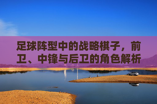 足球阵型中的战略棋子,前卫、中锋与后卫的角色解析,足球阵型中的战略棋子,前卫、中锋与后卫的角色解析
