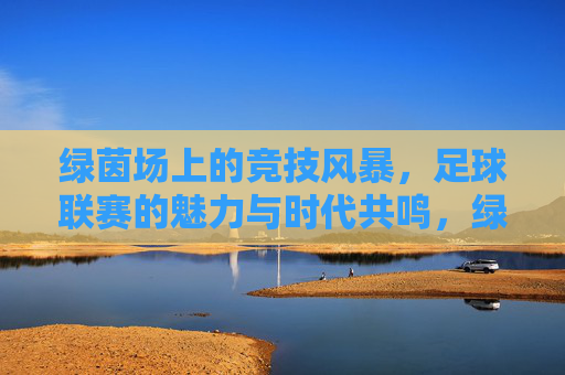 绿茵场上的竞技风暴，足球联赛的魅力与时代共鸣，绿茵场上的竞技风暴，足球联赛的魅力与时代共鸣