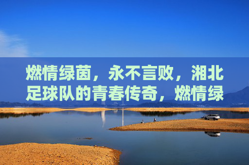燃情绿茵，永不言败，湘北足球队的青春传奇，燃情绿茵，永不言败，湘北足球队的青春传奇