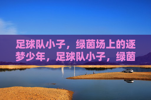 足球队小子,绿茵场上的逐梦少年,足球队小子,绿茵场上的逐梦少年