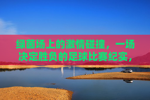 绿茵场上的激情碰撞，一场决定胜负的足球比赛纪实，绿茵场上的激情碰撞，一场决定胜负的足球比赛纪实