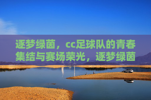 逐梦绿茵，cc足球队的青春集结与赛场荣光，逐梦绿茵，cc足球队的青春集结与赛场荣光