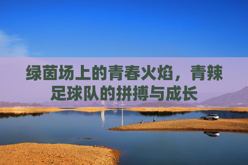 绿茵场上的青春火焰,青辣足球队的拼搏与成长